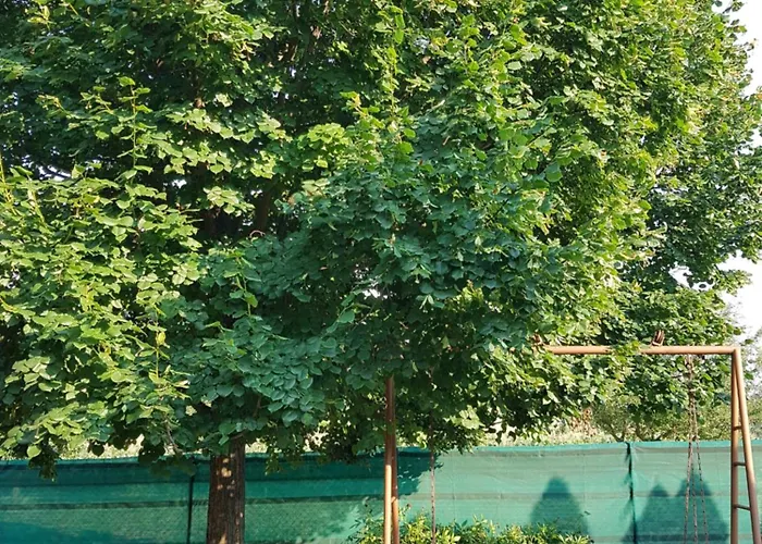 בית נופש Blaha *